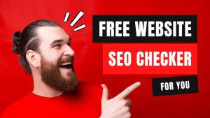 how to check website seo score f