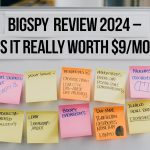 BigSpy Review