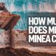 How much does minea cost?